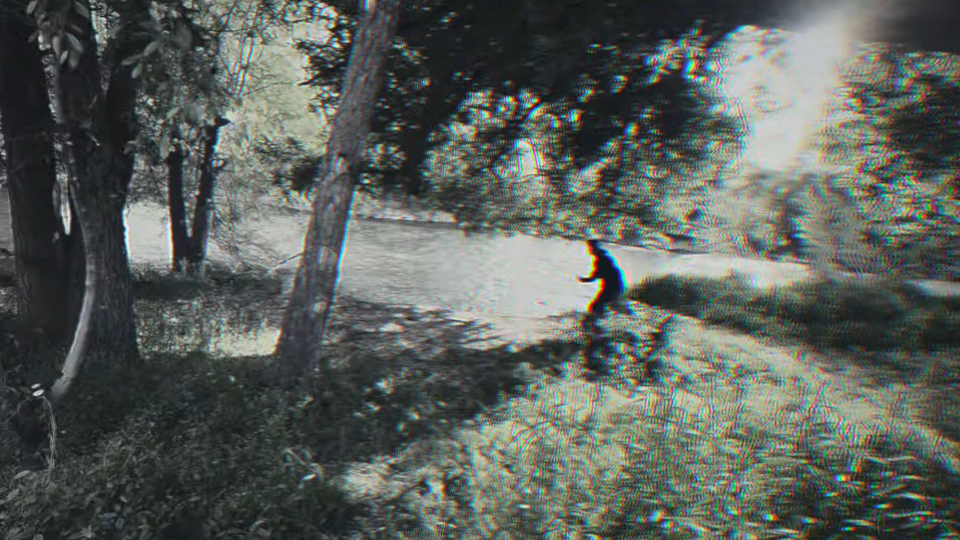 the wheel killer