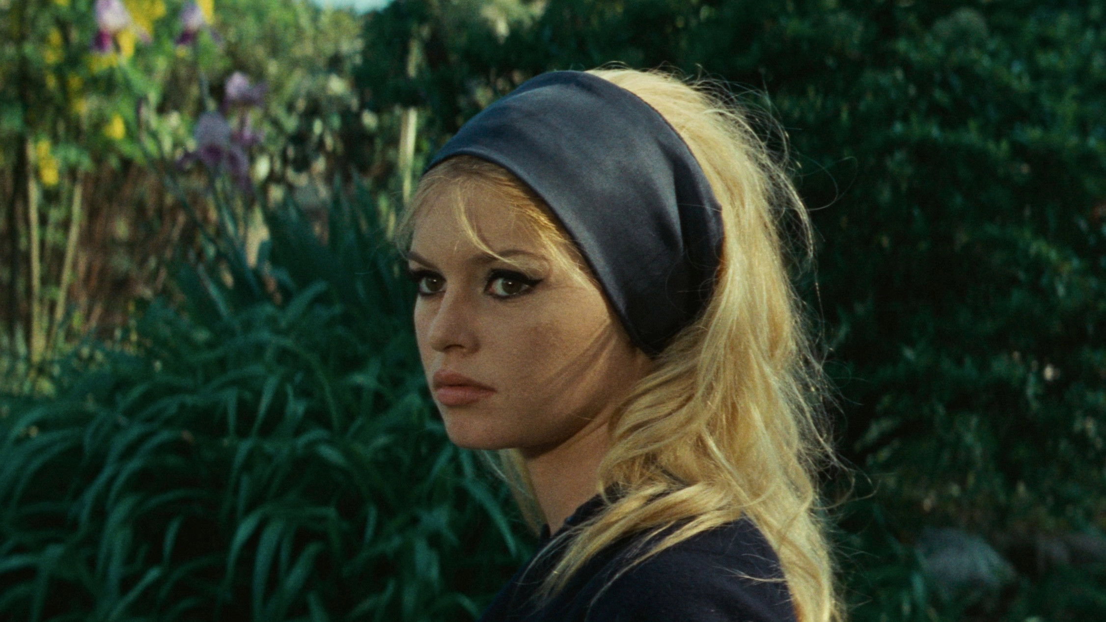 Contempt