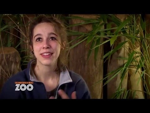Une saison au zoo