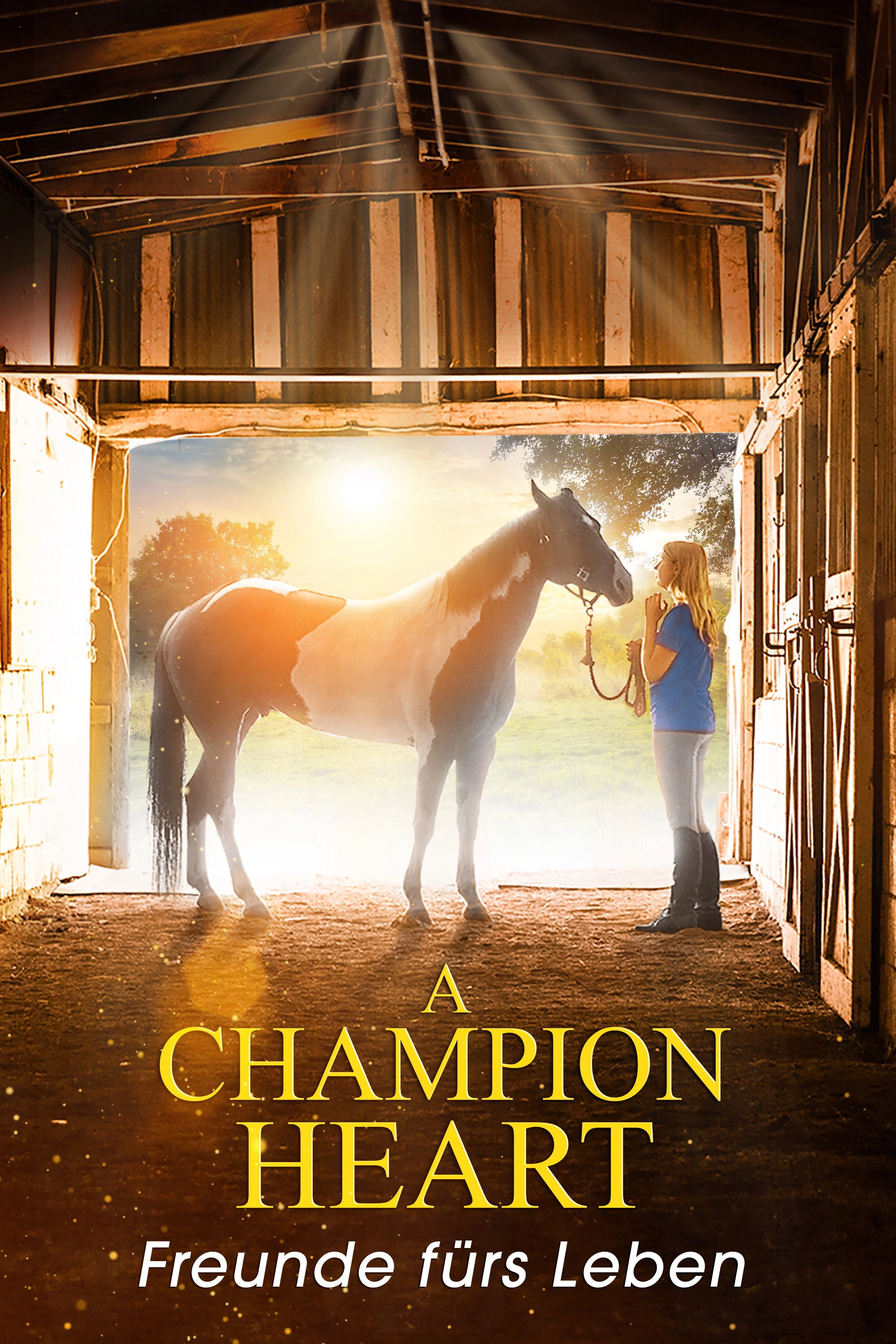 A Champion Heart