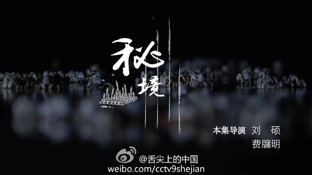 A Bite of China