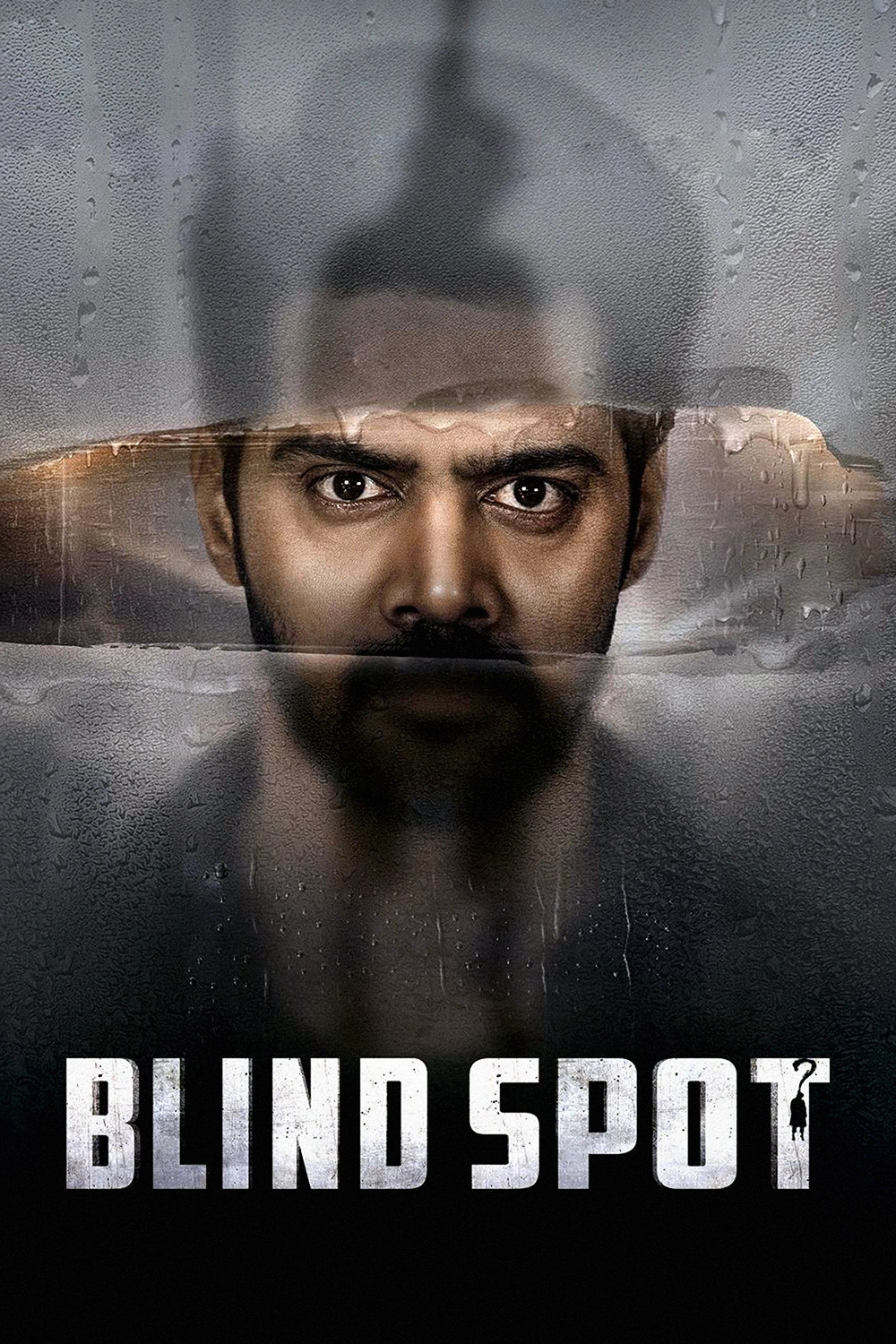 Blind Spot