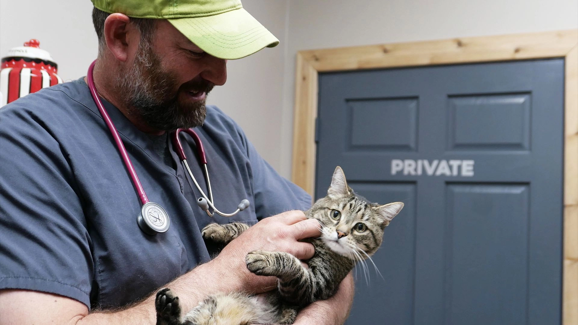 Heartland Docs, DVM