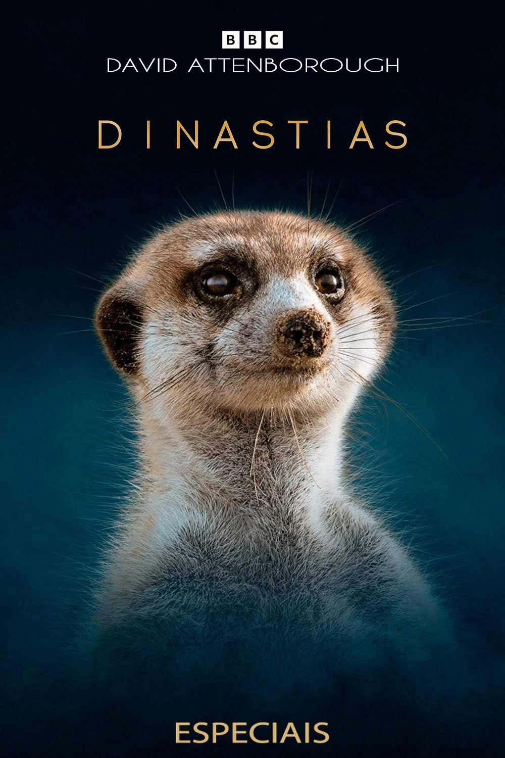 Dynasties