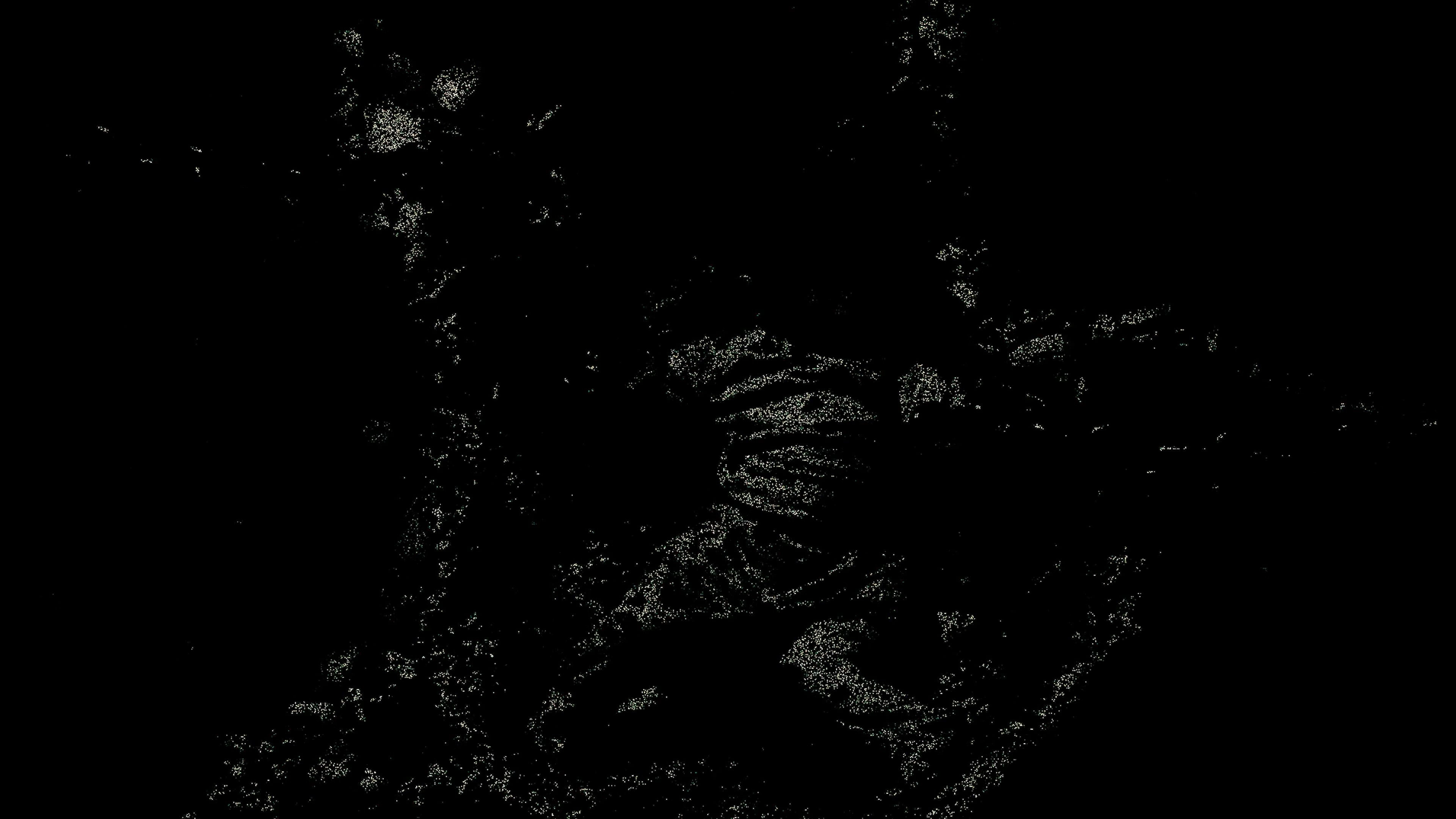 REFLECTION.mp4