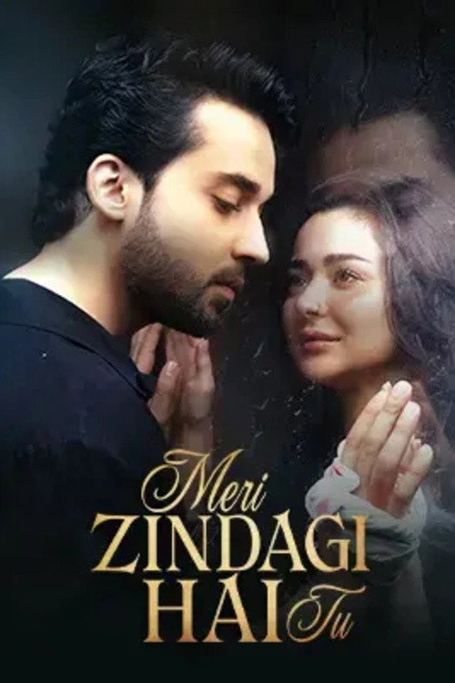 Meri Zindagi Hai Tu