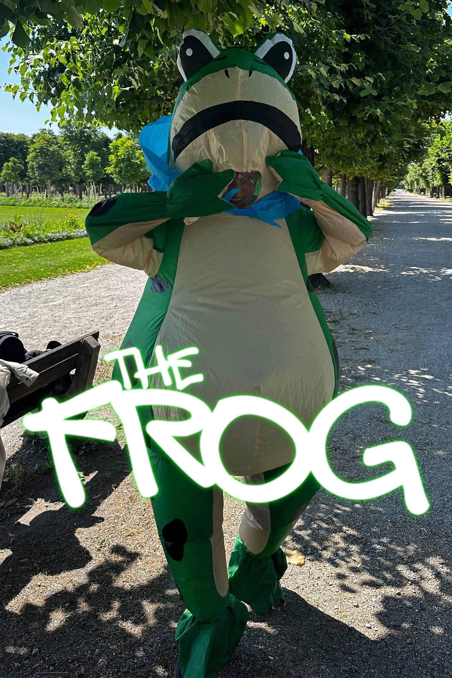 The Frog