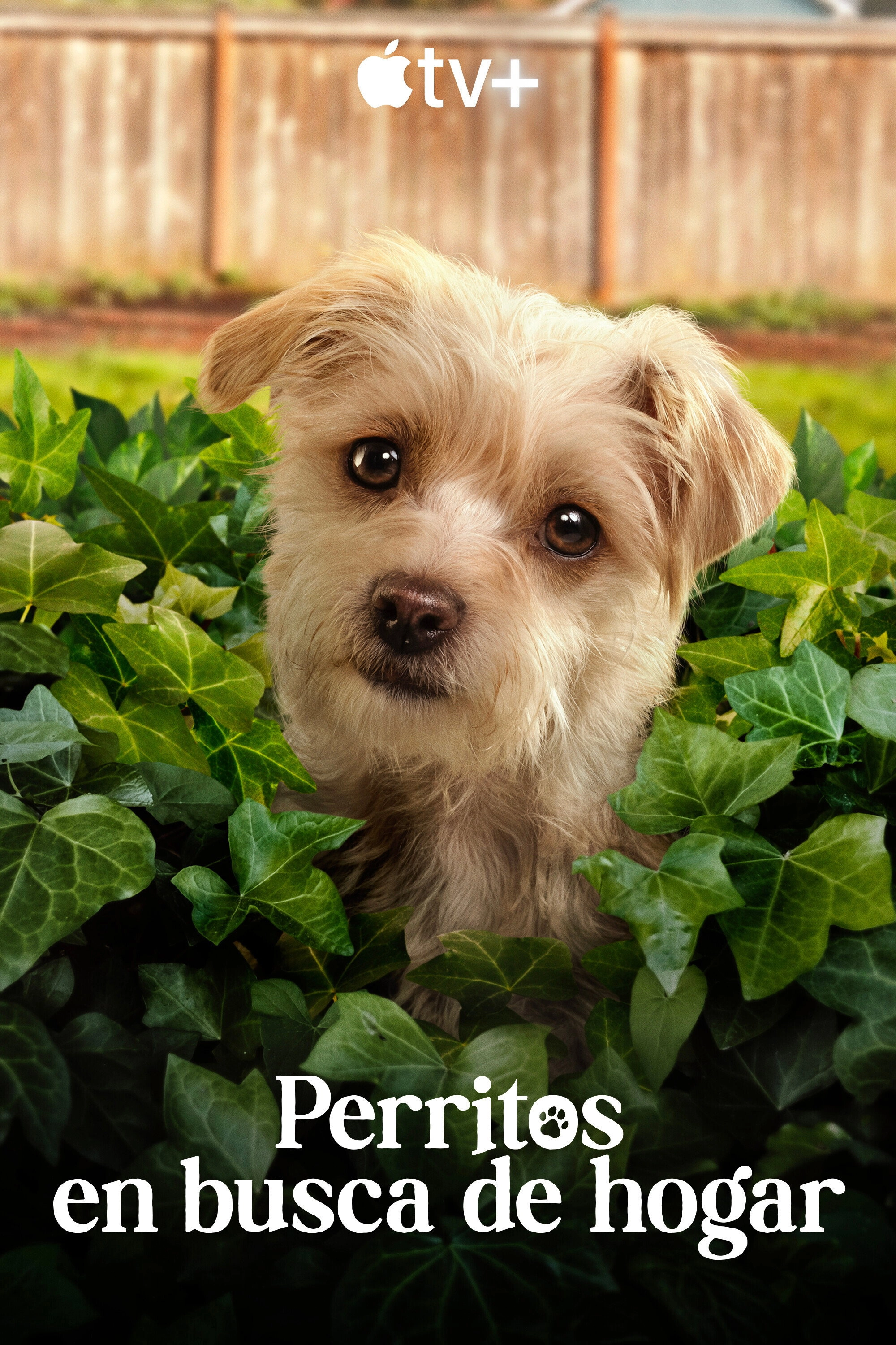Puppy Place