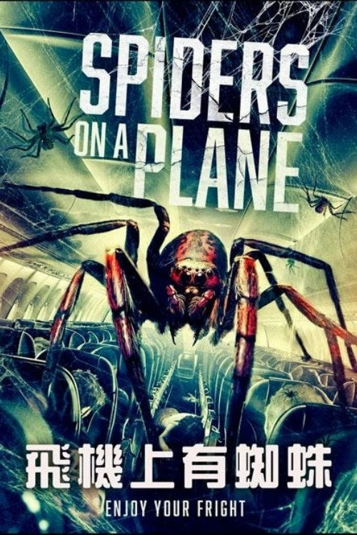 Spiders on a Plane