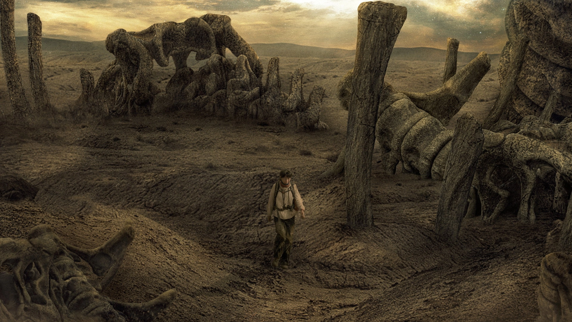Where Nothing Grows
