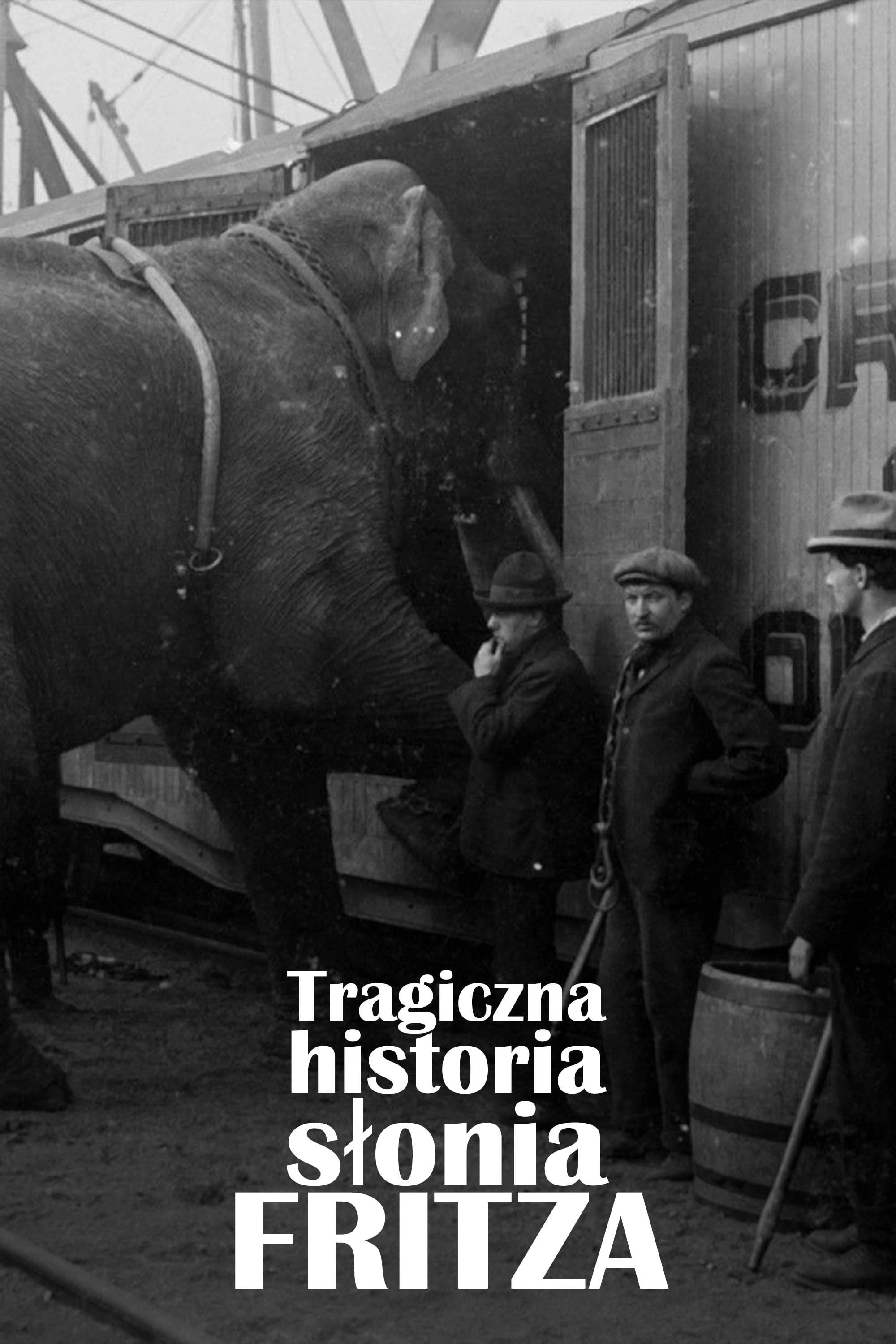 The Tragic Story of Fritz the Elephant