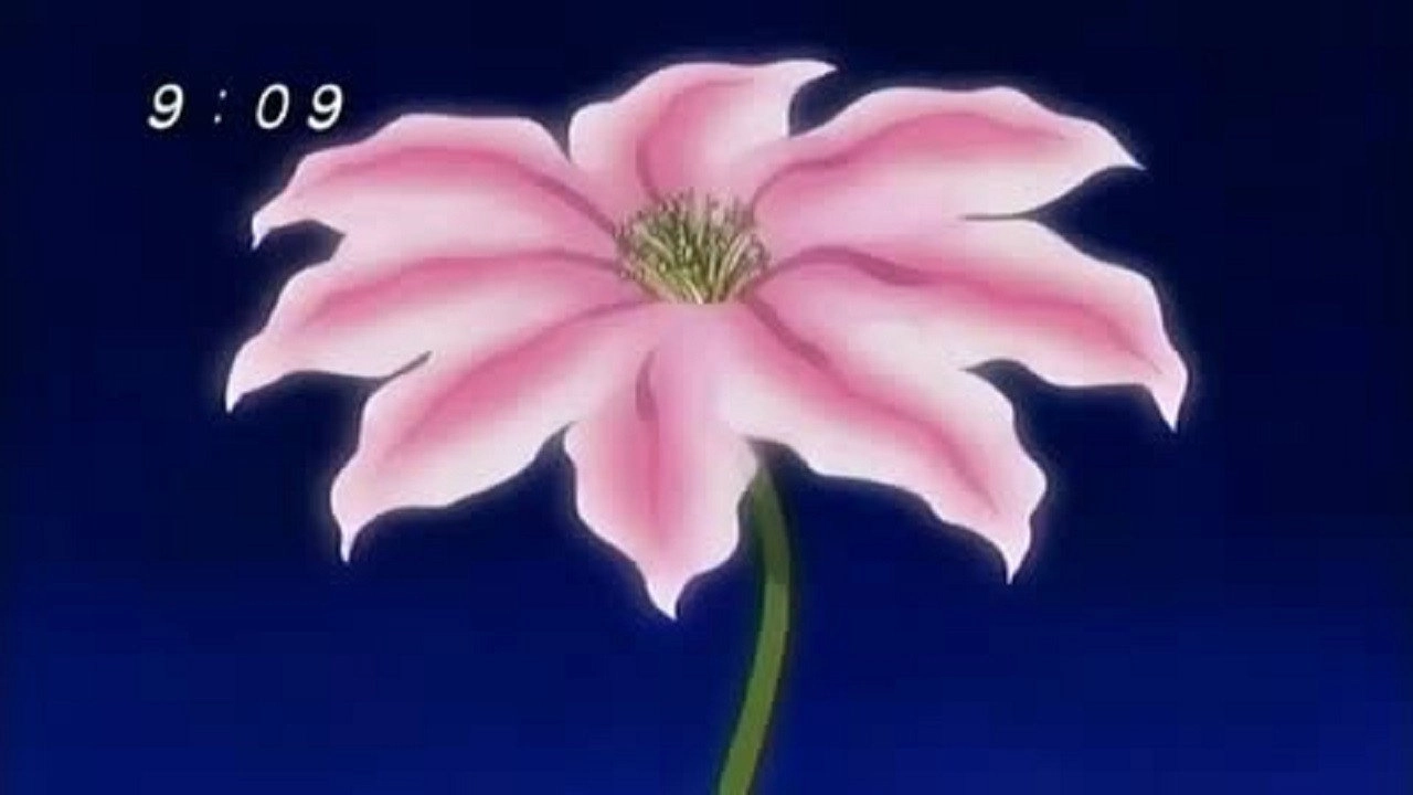 Zatch Bell!