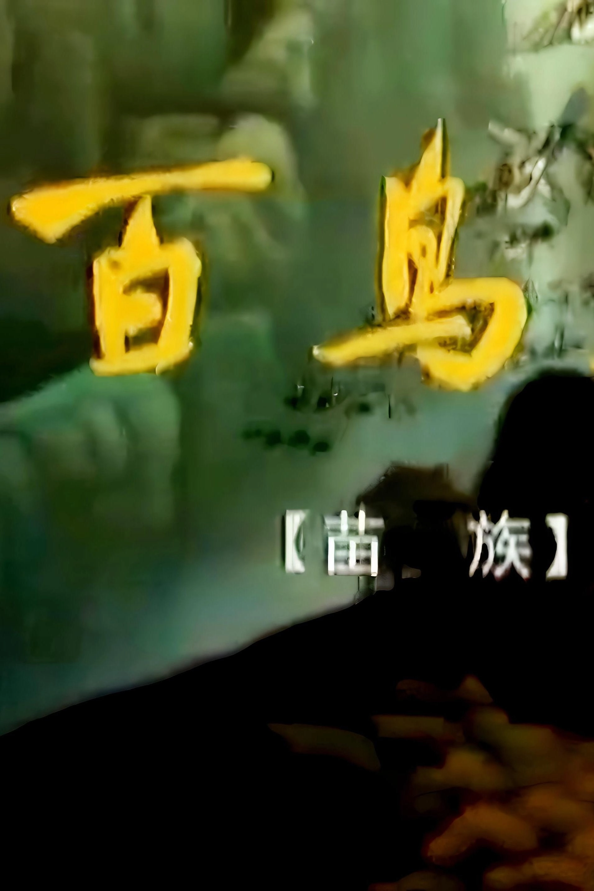 百鸟衣