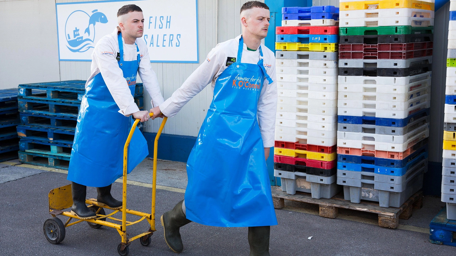 The Young Offenders