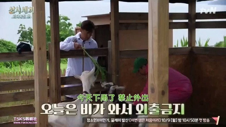 Three Meals a Day: Fishing Village