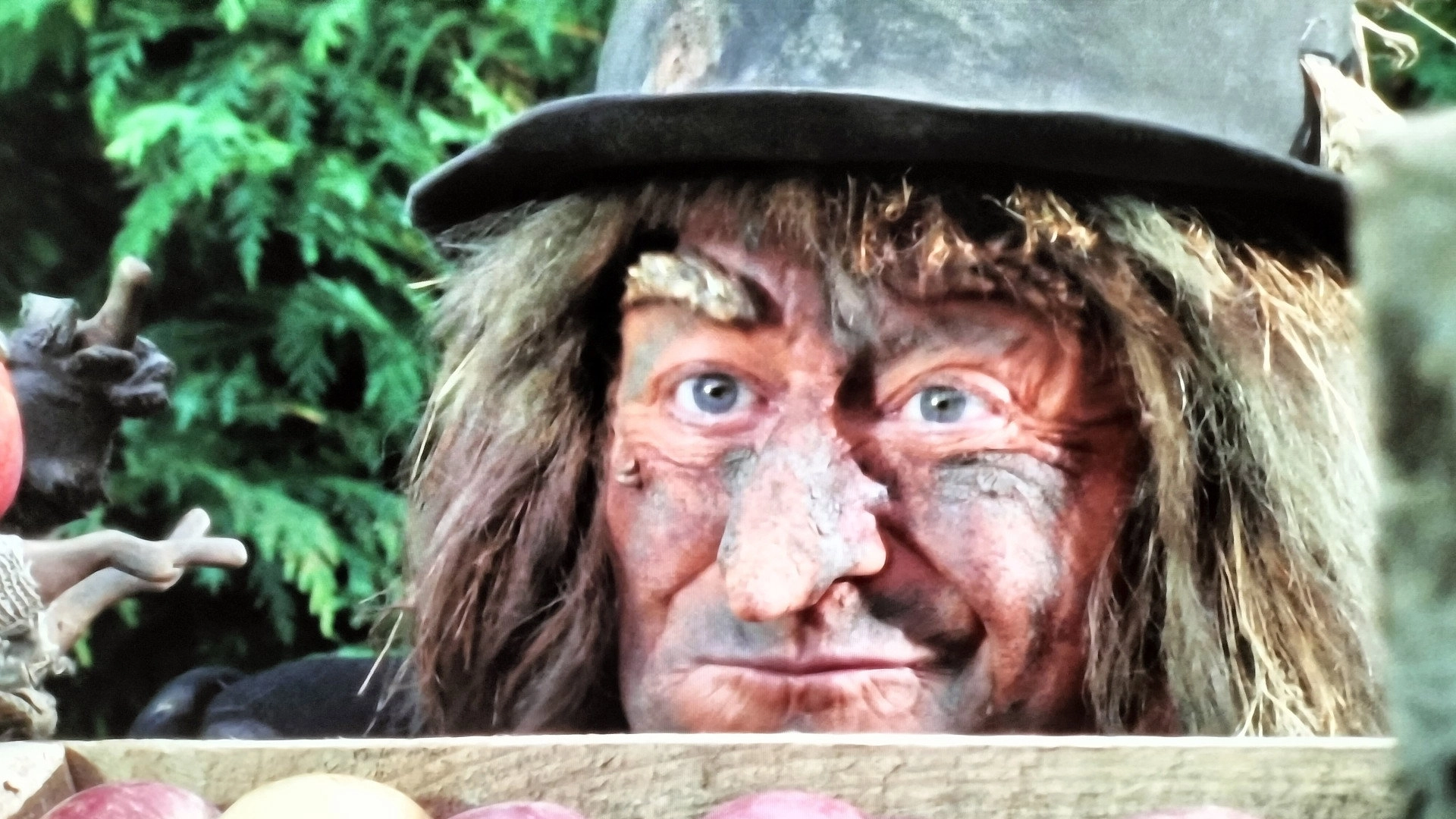 Worzel Gummidge Down Under
