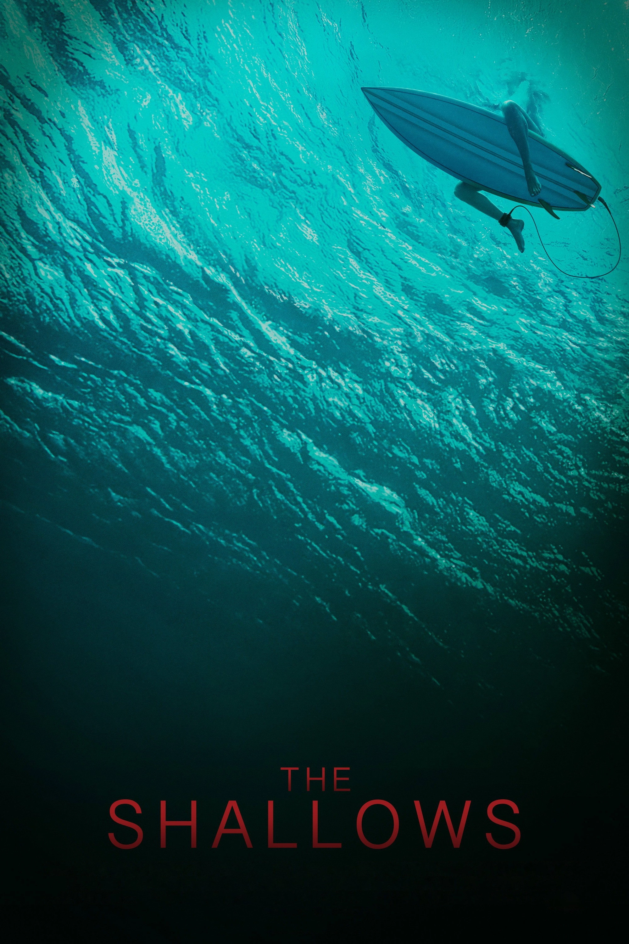 The Shallows
