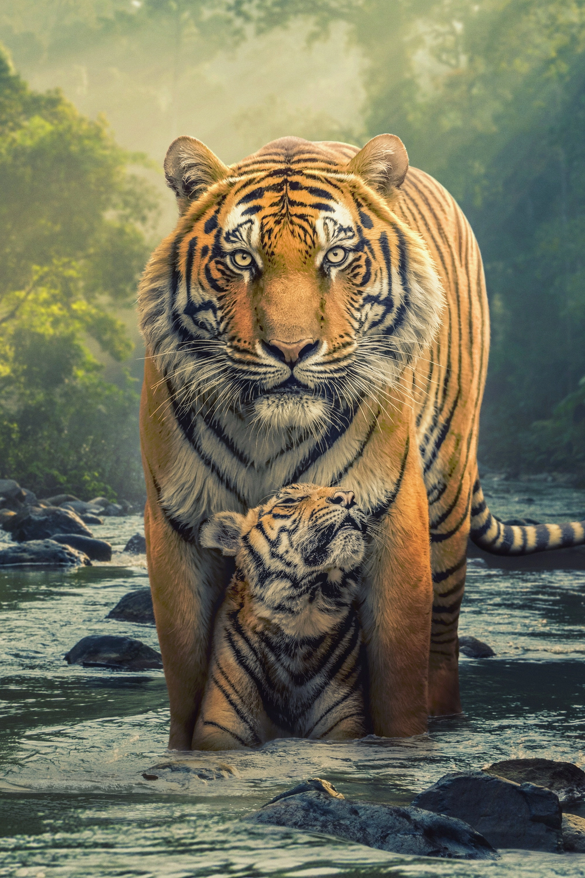The Wild Ones