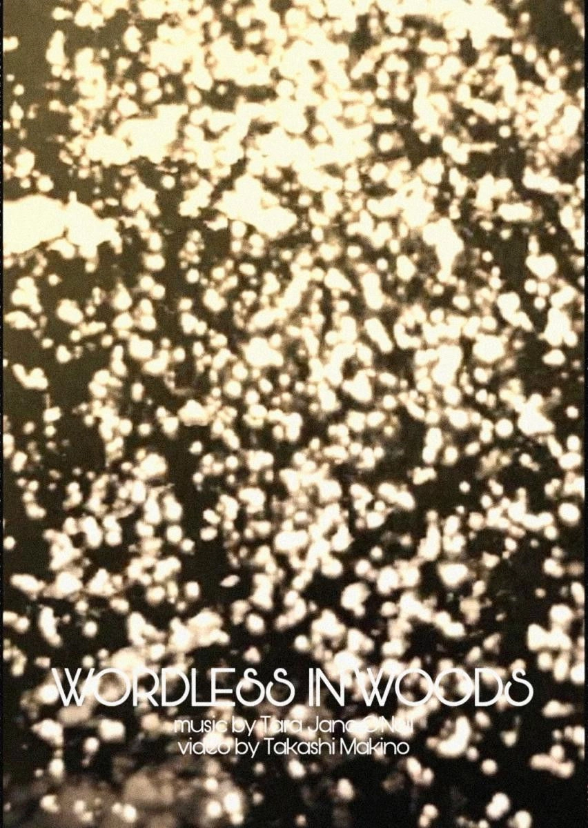 Wordless in Woods