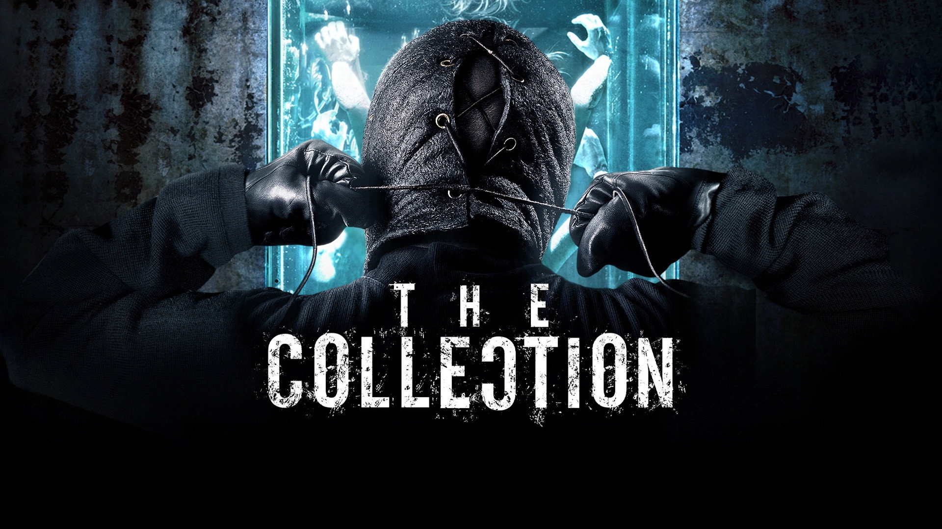 The Collection