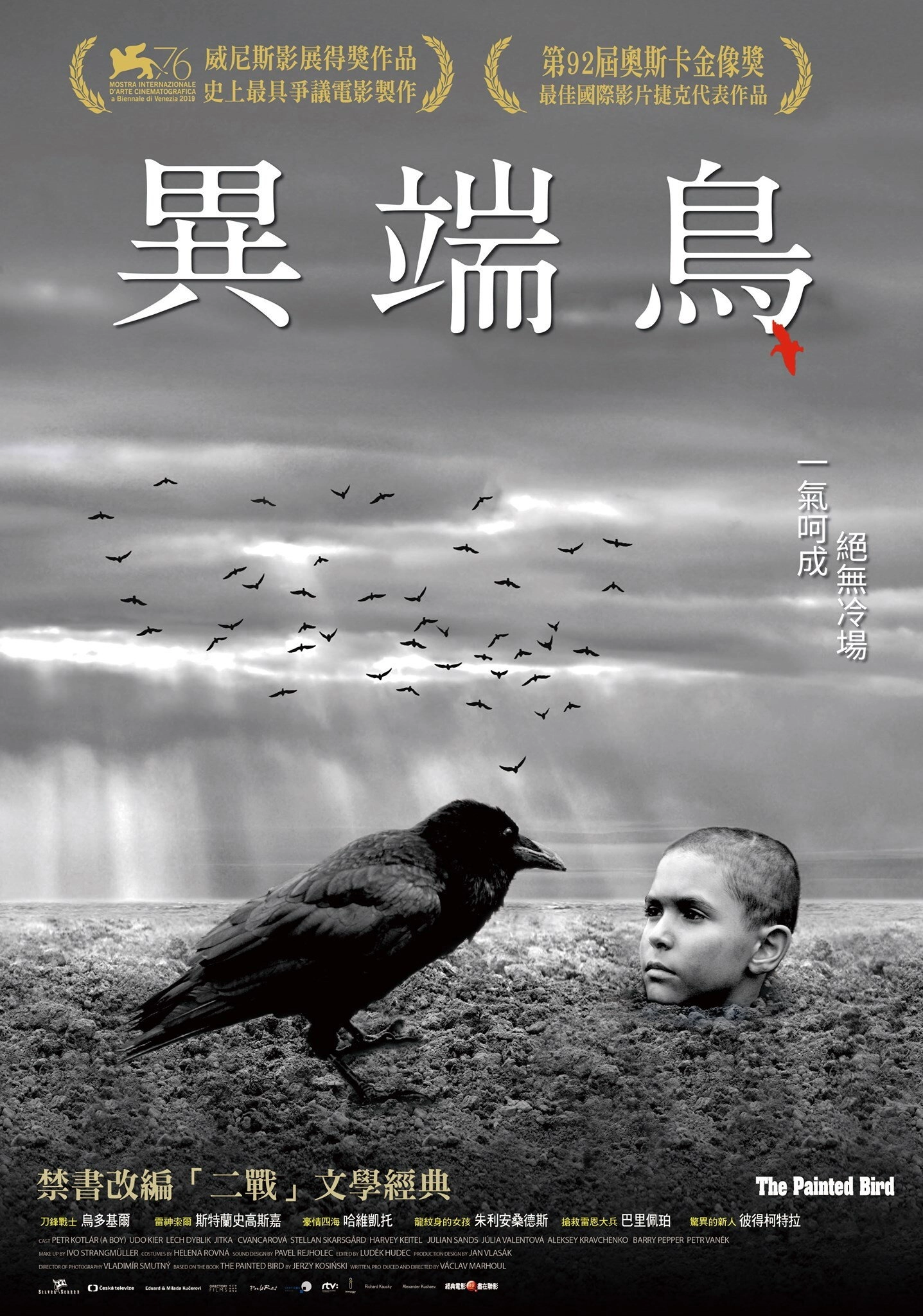 The Painted Bird