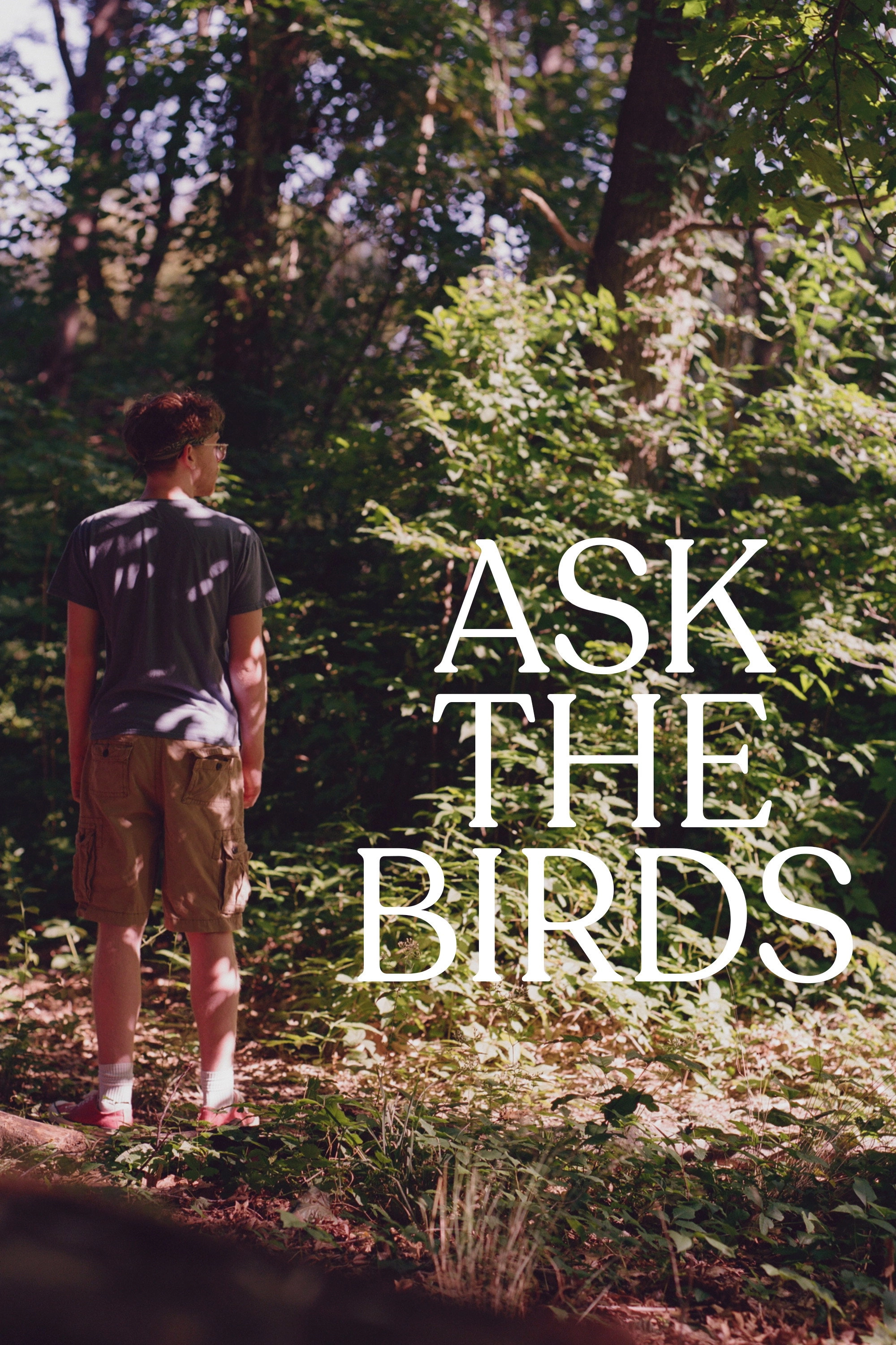 Ask The Birds