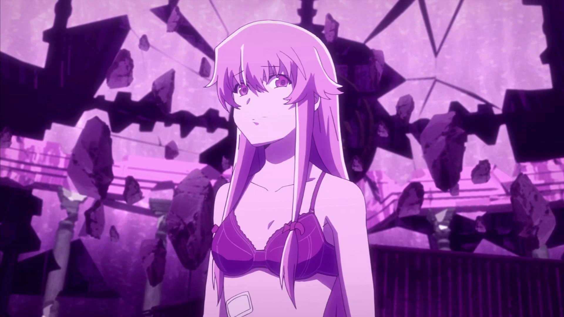 The Future Diary