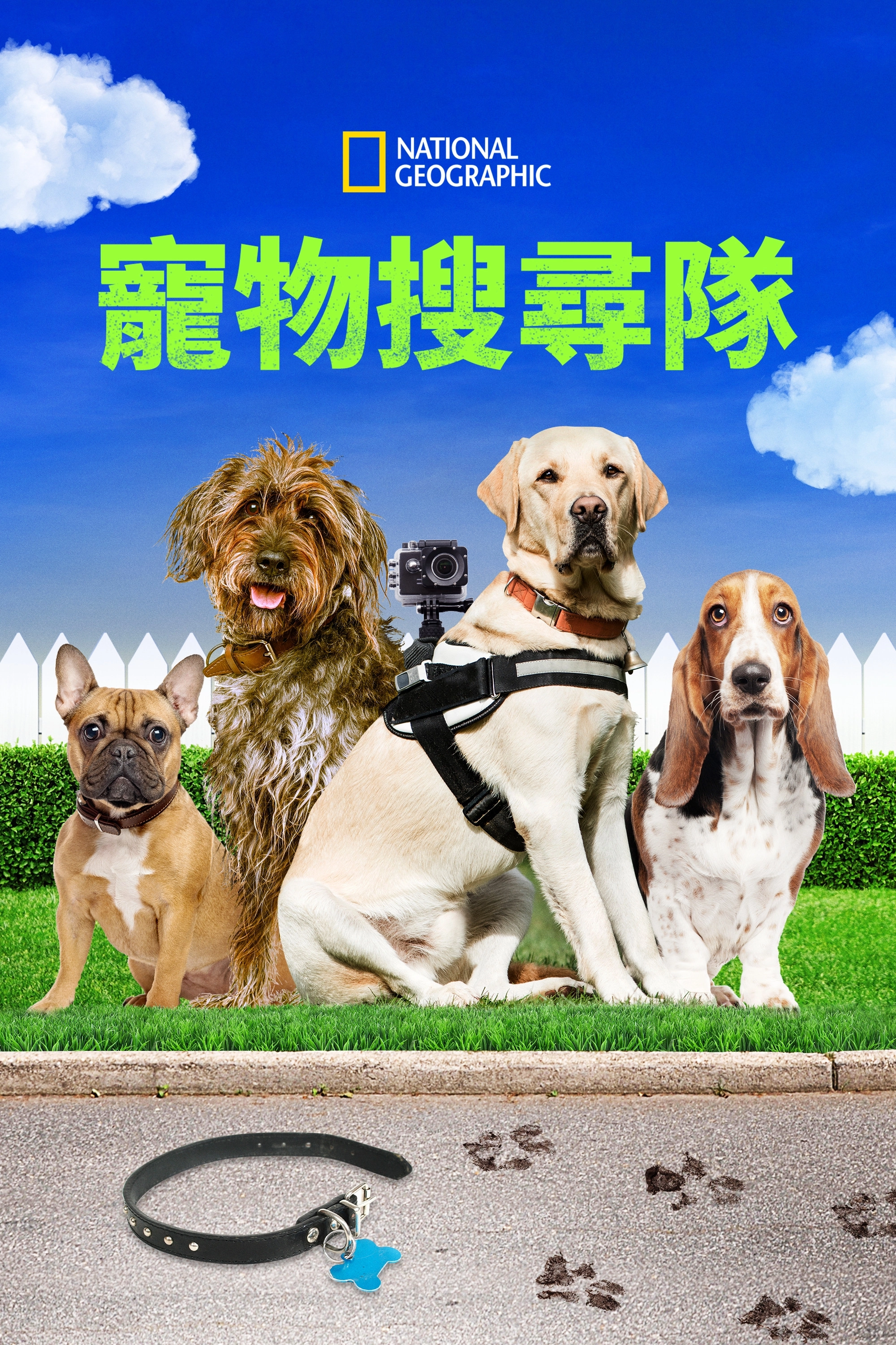 Trackers