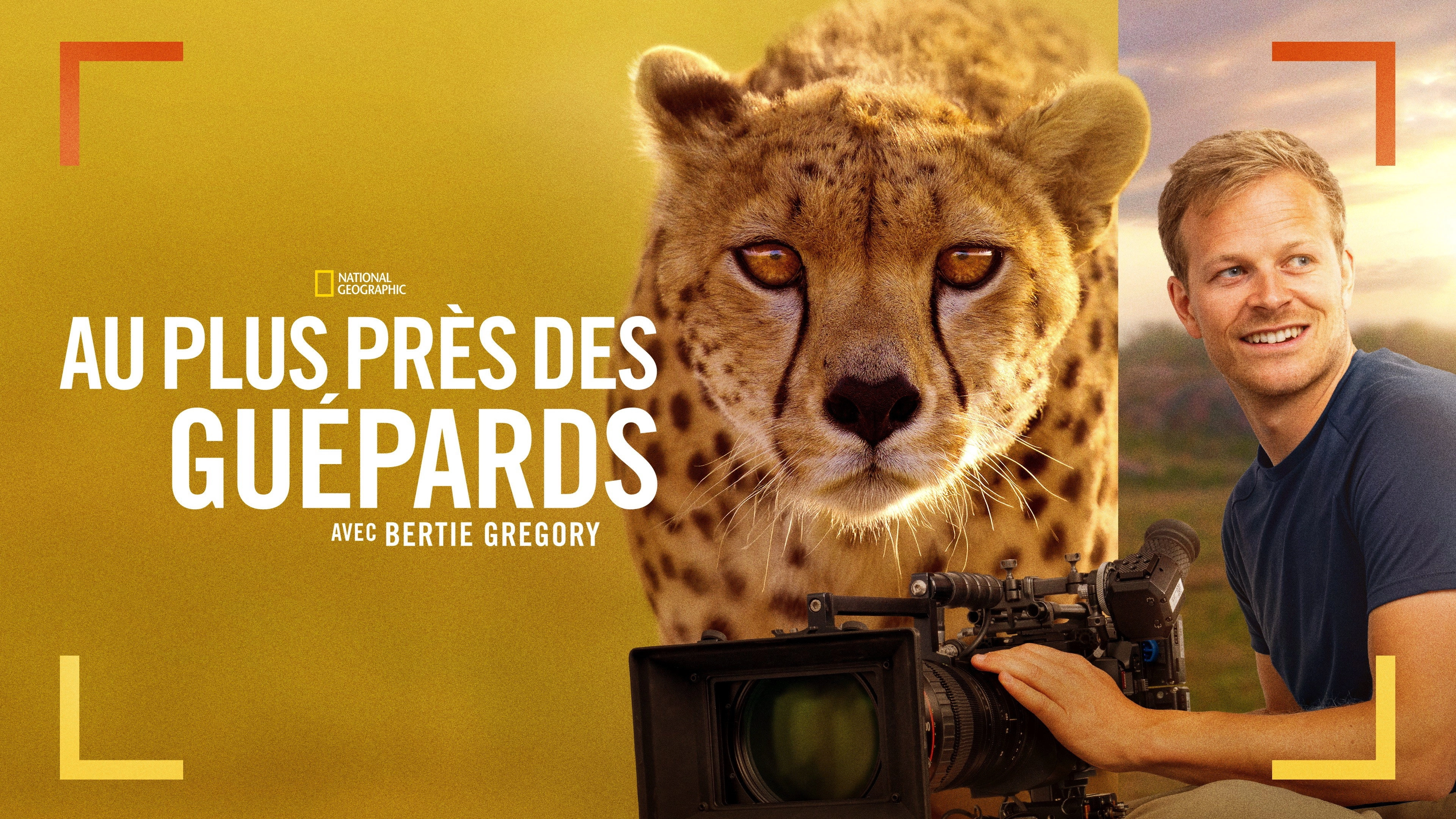 Cheetahs Up Close with Bertie Gregory