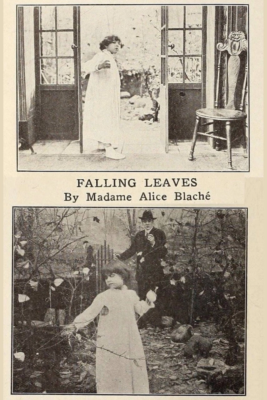 Falling Leaves