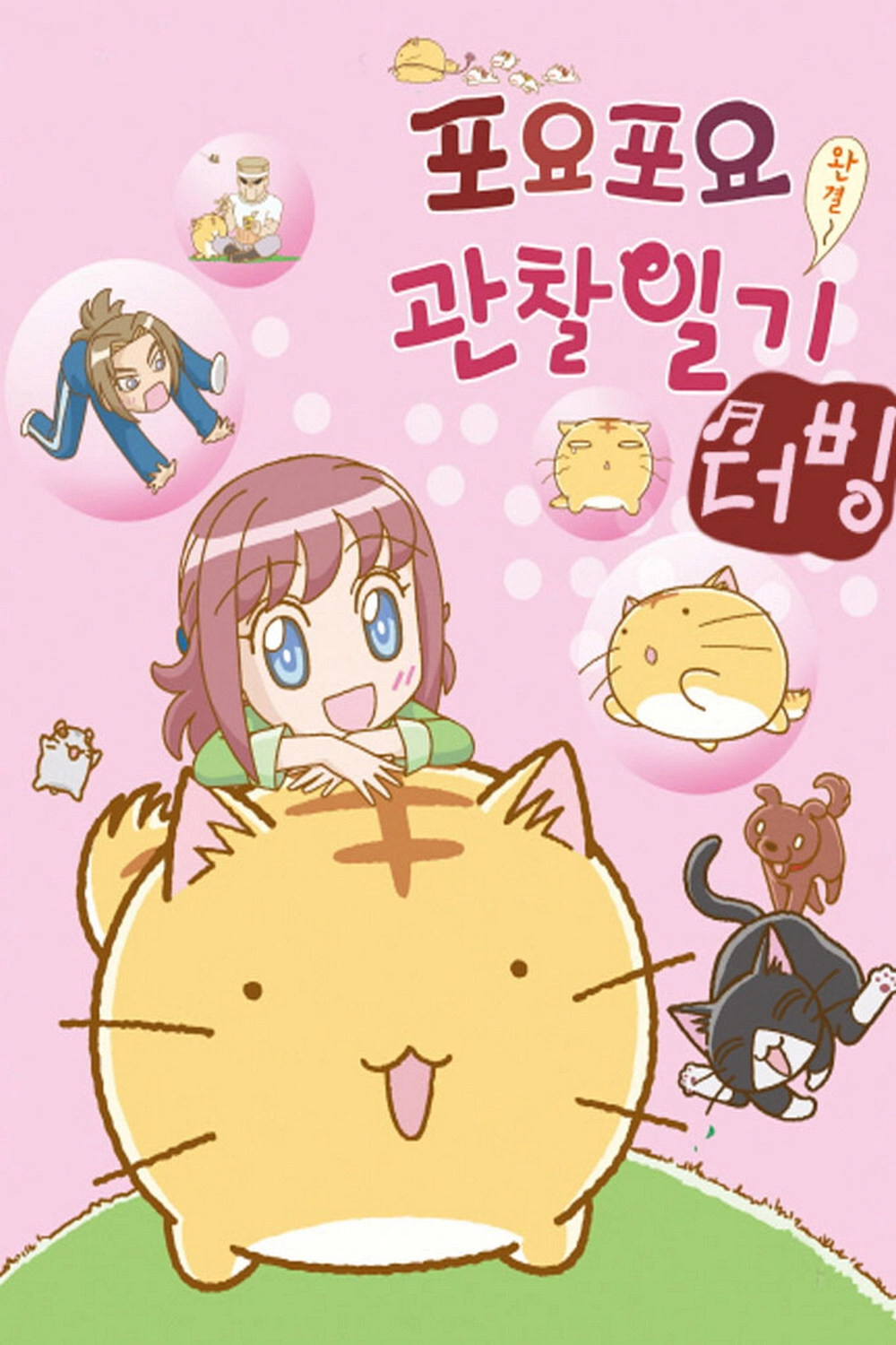 Poyopoyo