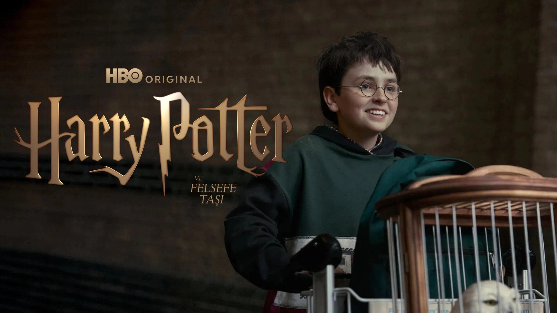 Harry Potter