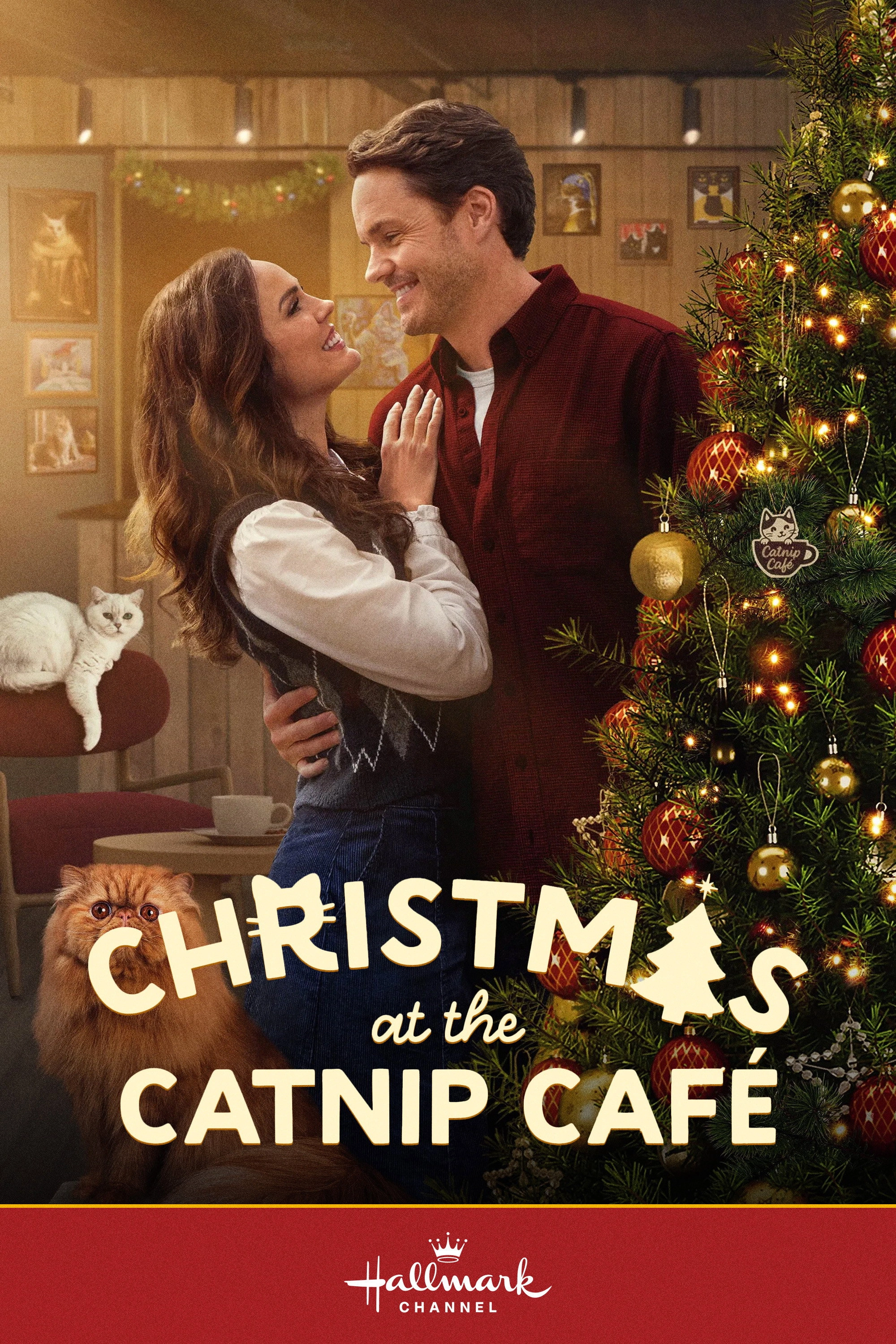 Christmas at the Catnip Café