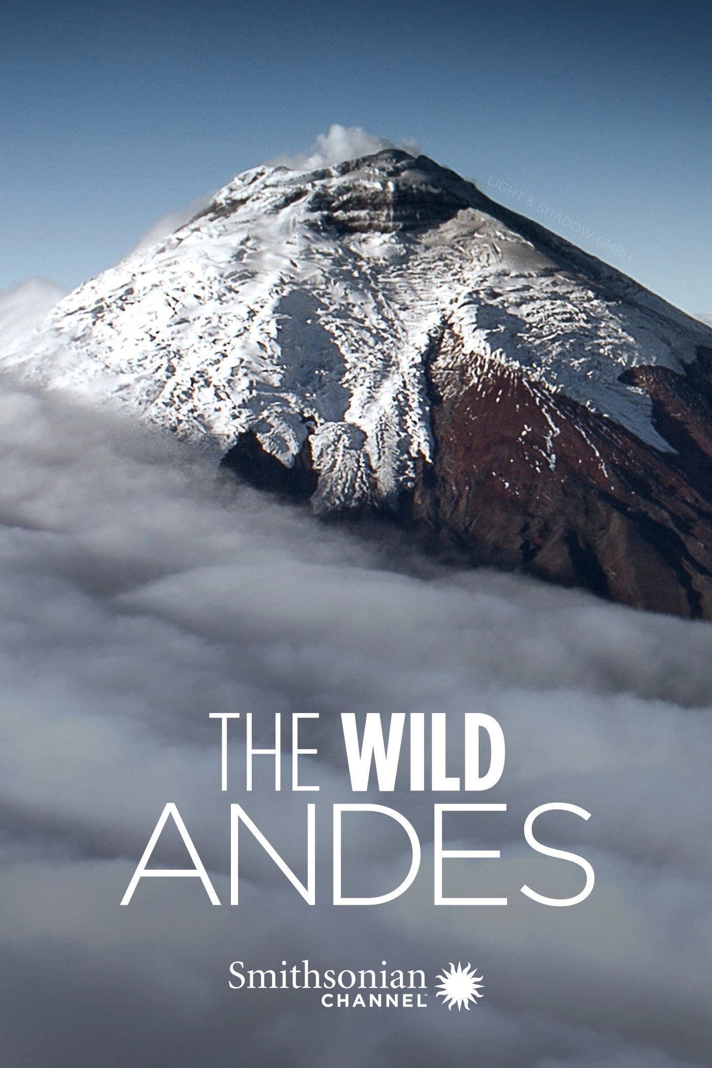 The Wild Andes