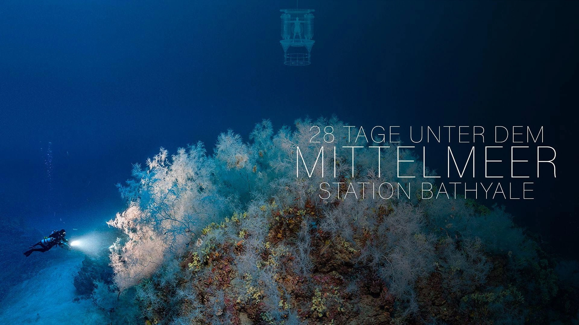 The Deep Med