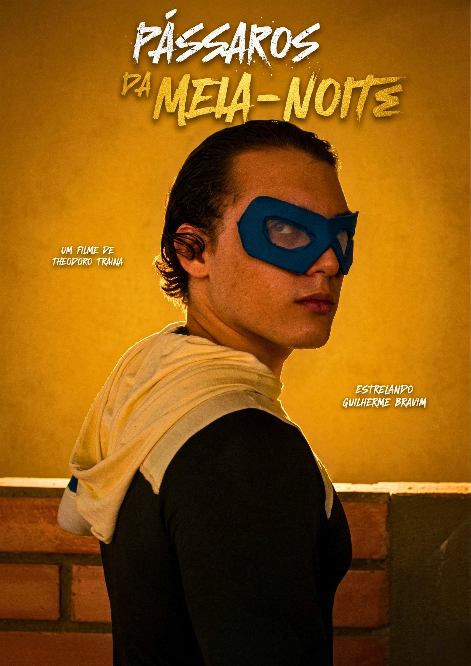 Pássaros da Meia noite