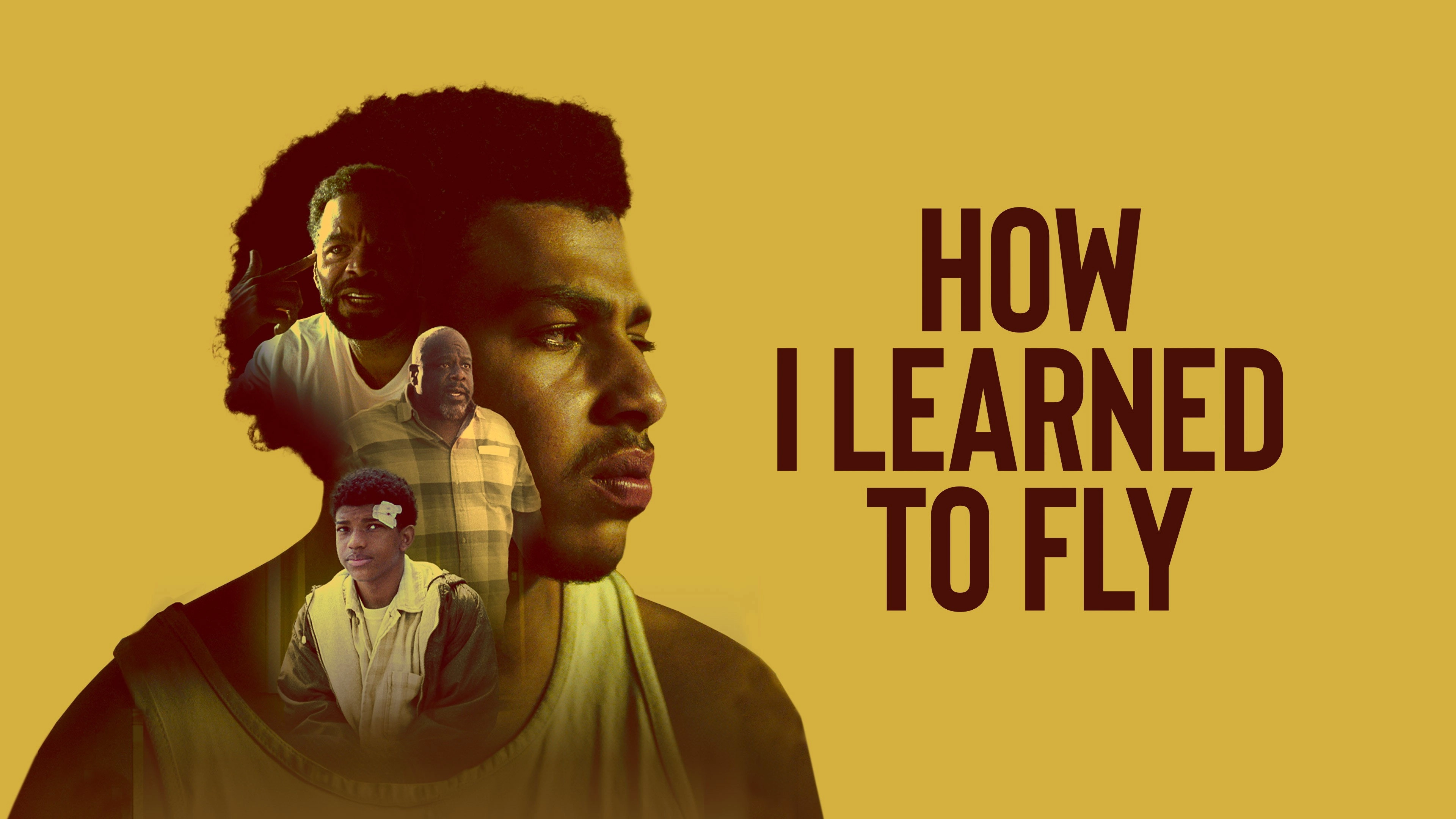 How I Learned to Fly