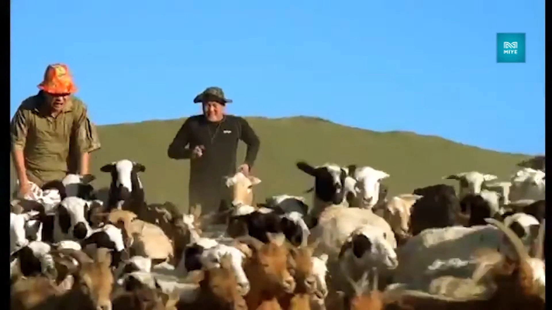 The Good, the Bad and the Ugly