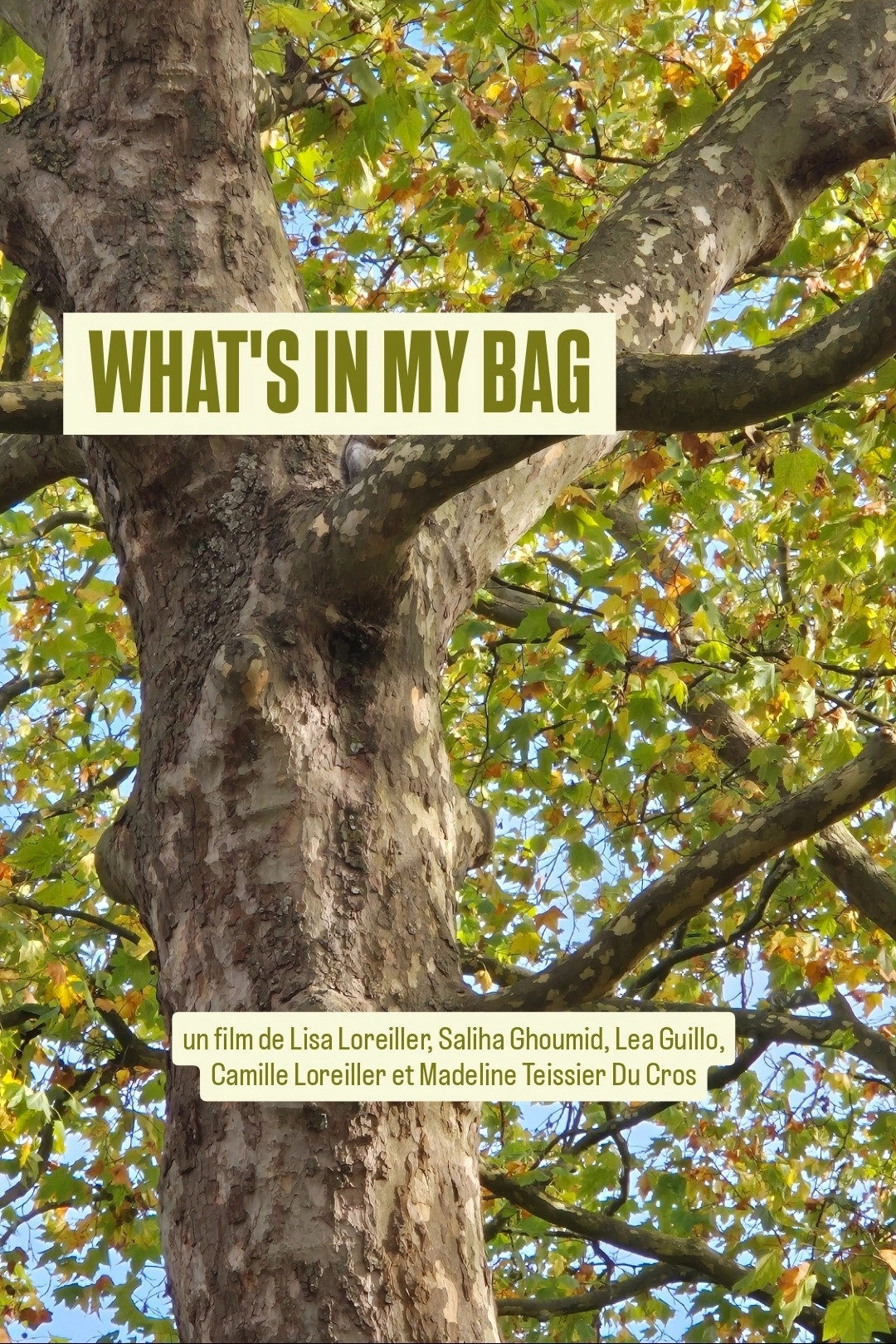 What's In My Bag