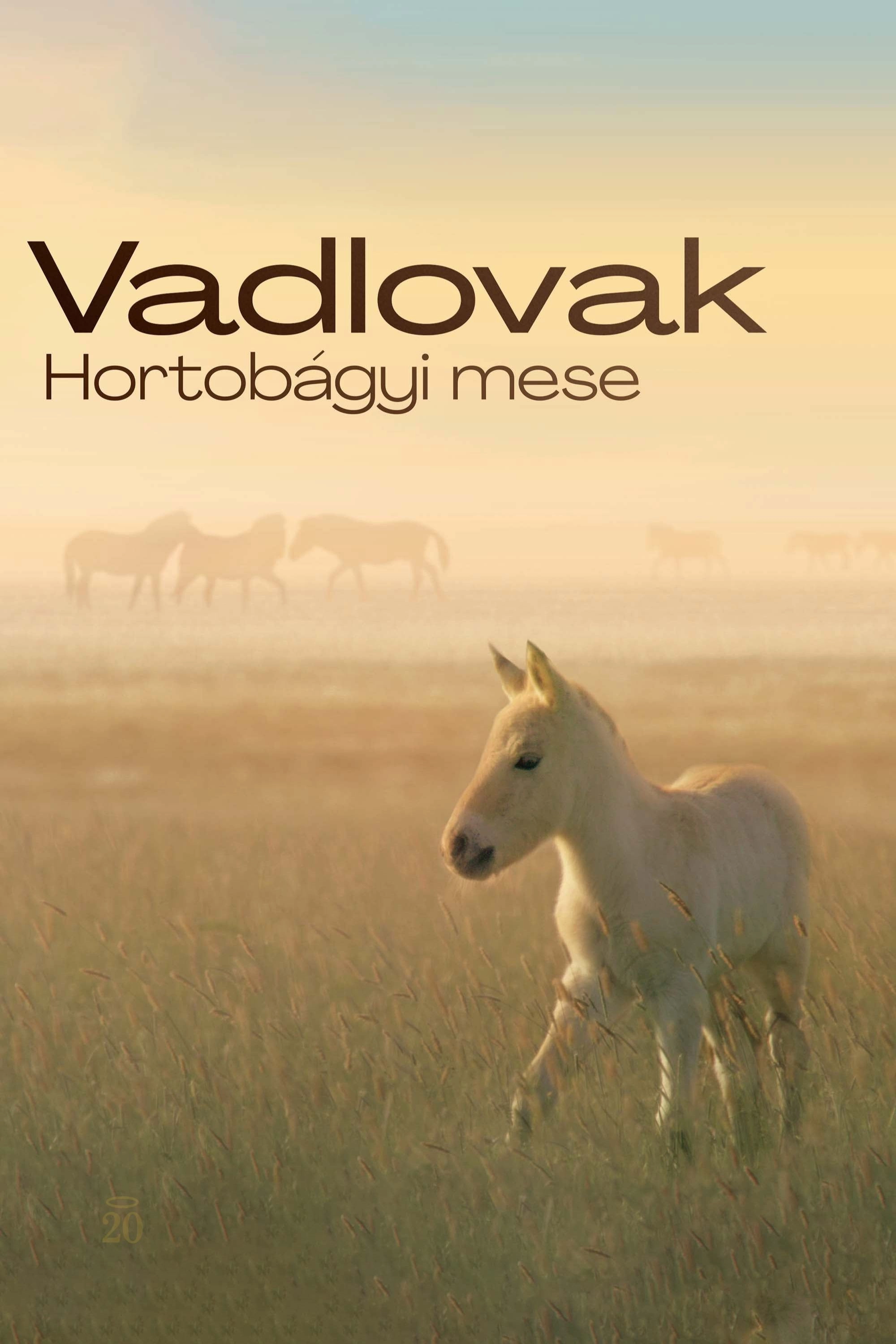 Wild Horses - A Tale From The Puszta