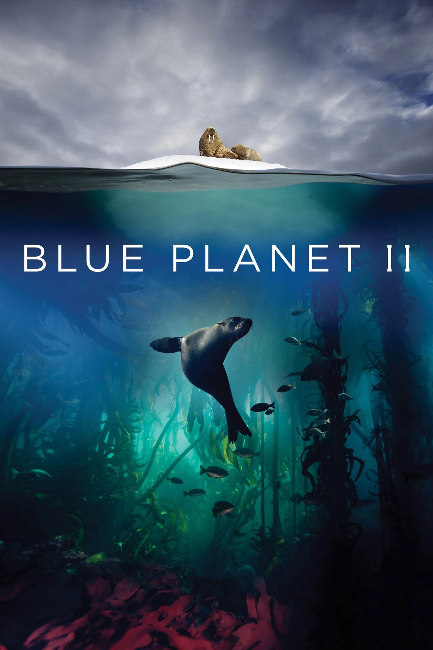 Blue Planet II