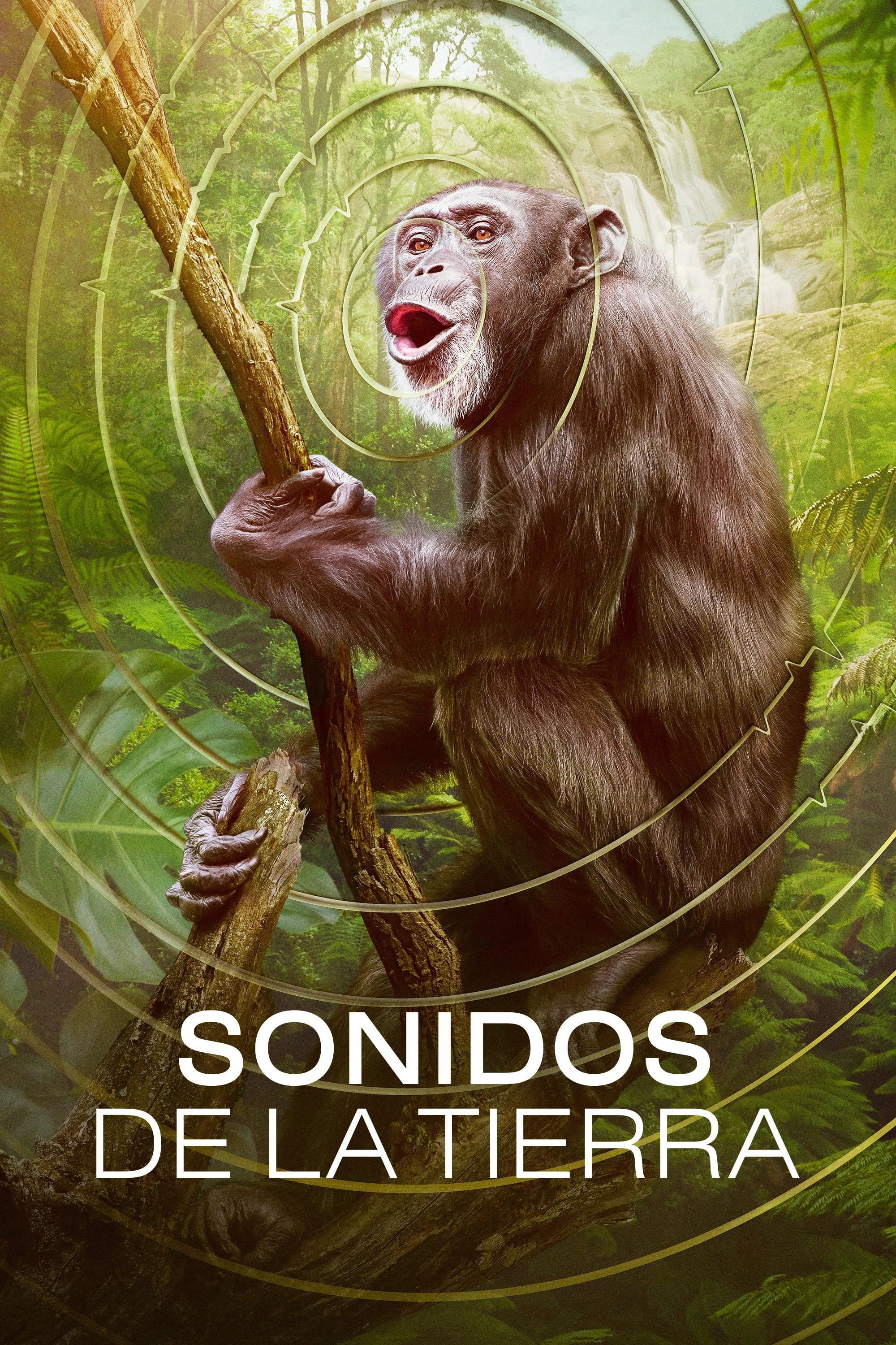 Earthsounds