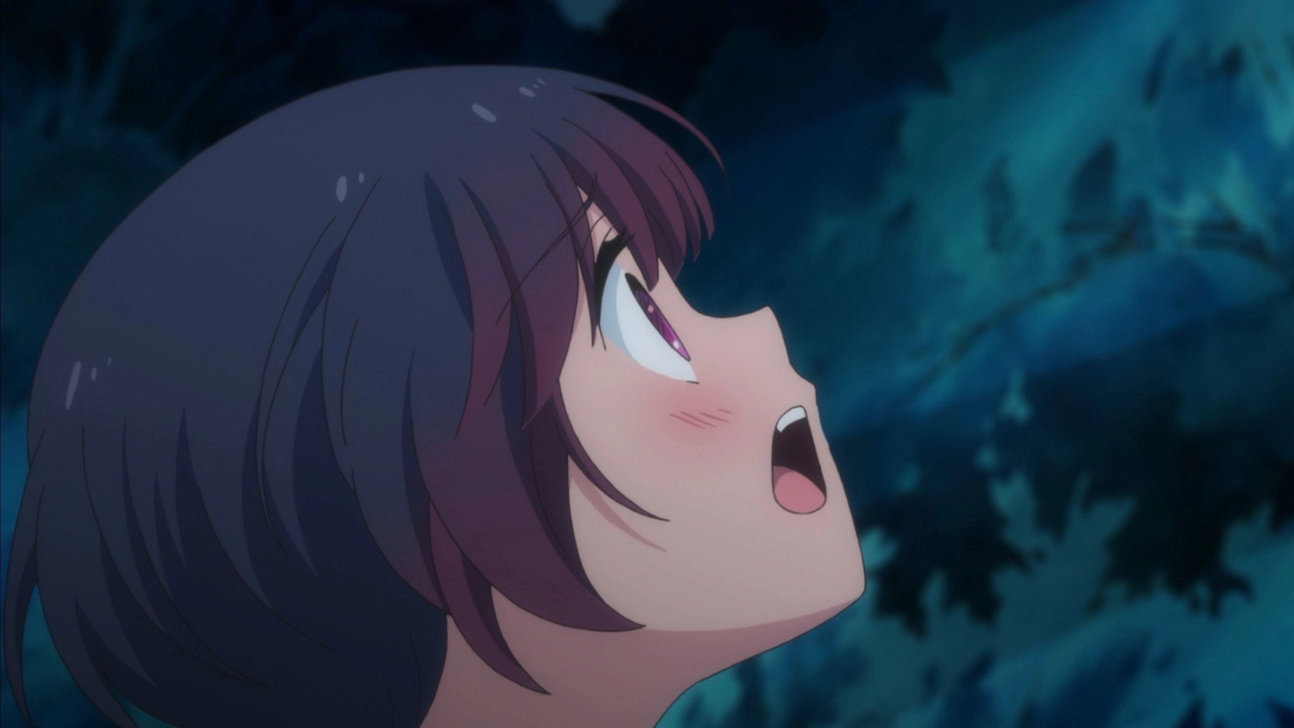 Yurikuma Arashi