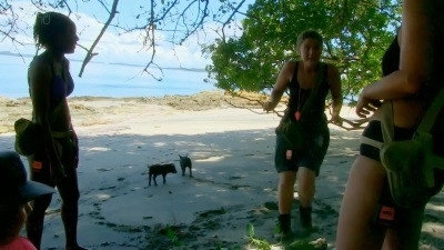 The Island with Bear Grylls