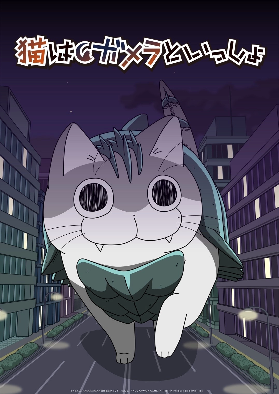 Nights with a Cat