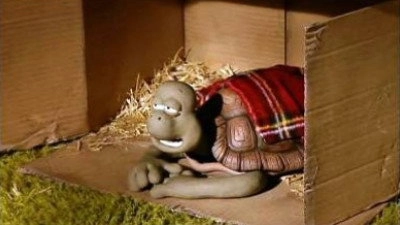 Creature Comforts
