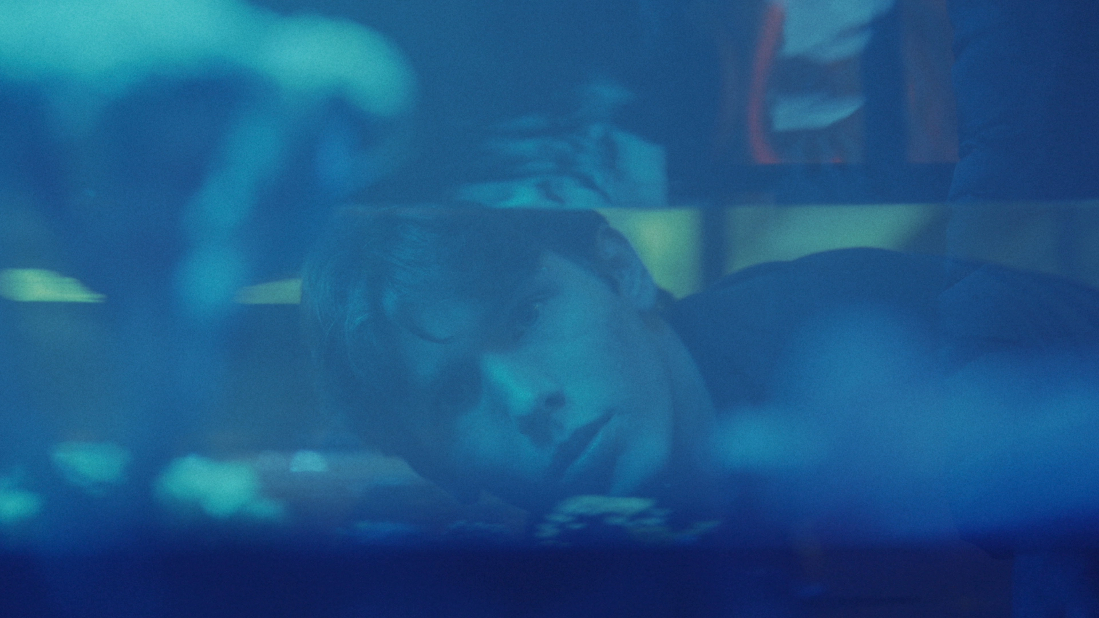 Blowfish