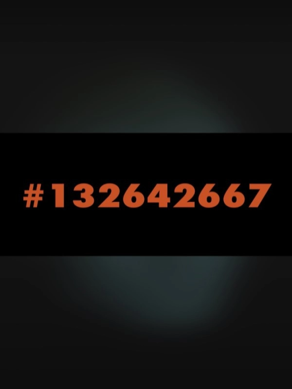 #132642667