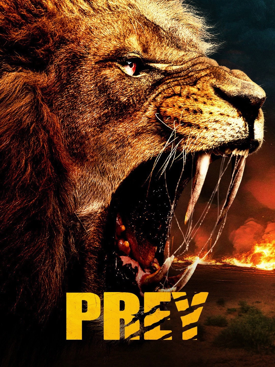 Prey