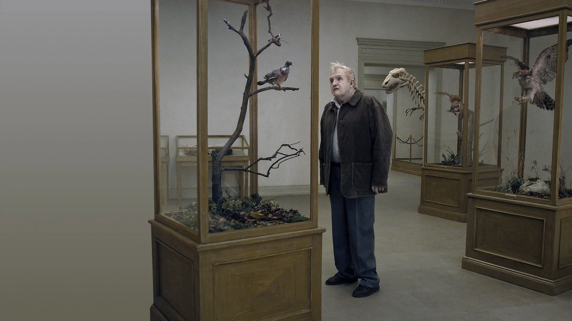 A Pigeon Sat on a Branch Reflecting on Existence